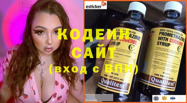 ECSTASY Алзамай