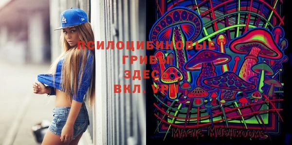 spice Алексеевка