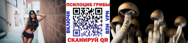 Псилоцибиновые грибы Cubensis  наркошоп  Горбатов 